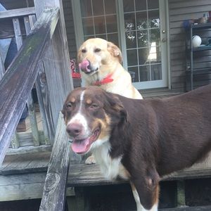 Meet your Posher, Kayley